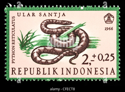 Briefmarke aus Indonesien zeigt eine Netzpython (Python Reticulatus) Stockfoto