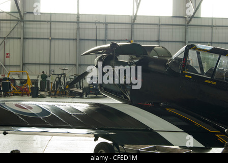 BBMF De Havilland DHC1 Streifenhörnchen Stockfoto