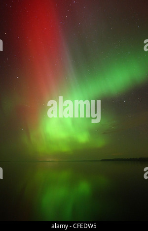 Nordlichter (Aurora Borealis) über den See Saadjärv gesehen. Europa, Estland Stockfoto