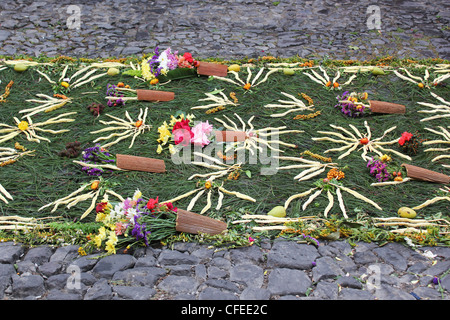 Teppich von Blumen in Antigua für Ostern/Alfombra de Flores Para Semana Santa de la Antigua Guatemala Stockfoto