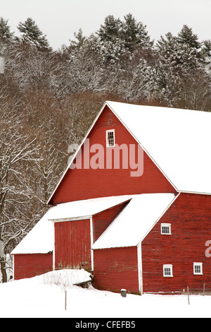 Red Barn in New Hampshire wird durch New England Schnee nach einem Wintersturm abgedeckt. Stockfoto