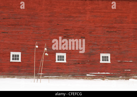 Red Barn in New Hampshire wird durch New England Schnee nach einem Wintersturm abgedeckt. Stockfoto