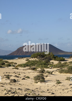 Sand der Wüste in Fuerteventura (Kanarische Inseln-Spanien) Stockfoto