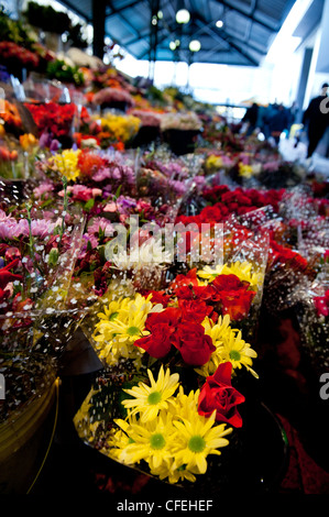 Cape Town Trafalgar Platz Adderley Street Blumenmarkt, Cape Town South Africa Stockfoto