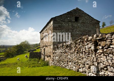 Großbritannien, England, Yorkshire, Wensleydale, Askrigg, steinigen Feld Scheune Stockfoto