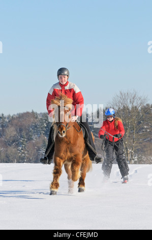 Zwei Mädchen, die Spaß beim Skijöring mit einem Islandpferd Stockfoto