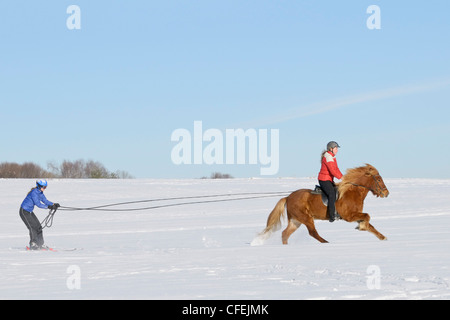 Zwei Mädchen, die Spaß beim Skijoering mit einem Islandpferd Stockfoto