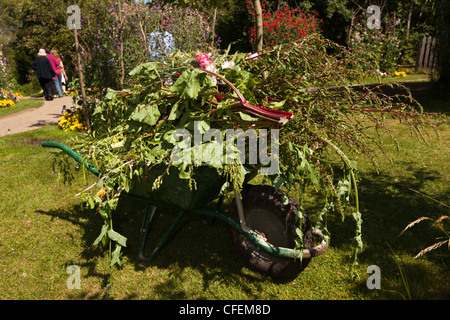 Warwickshire, Stratford on Avon, Shottery, Anne Hathaway Hütte, Schubkarre voller Garten Stecklinge für Kompost Stockfoto