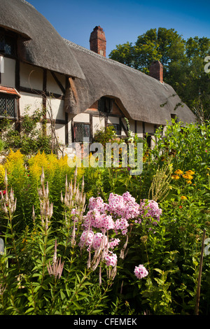 Warwickshire, Stratford on Avon, Shottery, krautige Blumen Pflanzen in Anne Hathaways Cottage-Garten Stockfoto