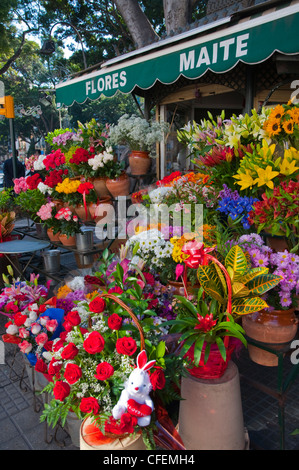 Blumengeschäft entlang Alameda Principal Boulevard Malaga Andalusien Spanien Mitteleuropa Stockfoto