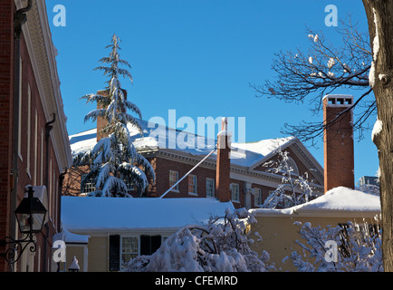 Lehman und Wadsworth, Gebäude in Harvard Yard, das alte Zentrum der Harvard University Campus, im Winter. Stockfoto