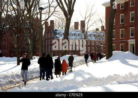 Touristen auf der Durchreise Schnee bedeckten Harvard Yard nach einem Schneesturm. Stockfoto