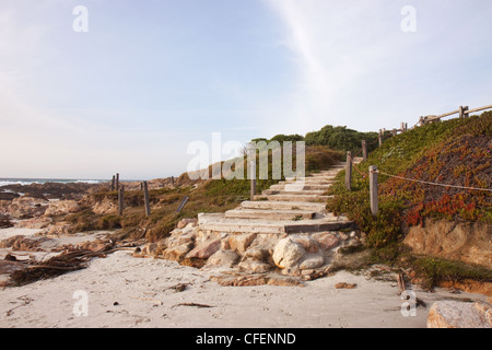 Treppe zum Strand in Asilomar State Park in der Nähe von Pacific Grove, Kalifornien Stockfoto