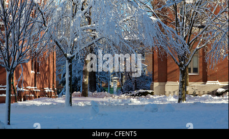 Klassische rote Wohnheim Backsteinbauten des Campus der Harvard University in Cambridge, MA, nach einem Schneesturm. Stockfoto