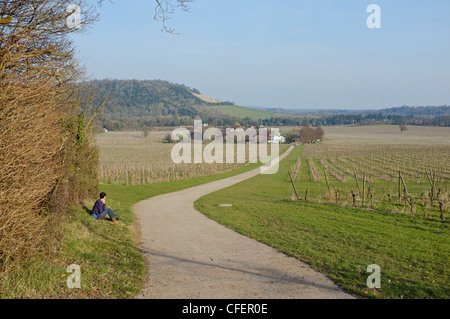 Blick auf Denbies wine Estate, in der Nähe von Dorking, Surrey, England. Stockfoto