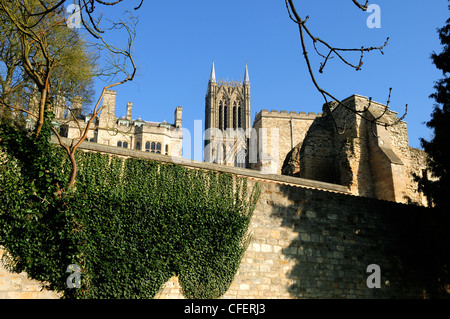 Blick auf Lincoln Kathedrale von Tempelgärten Lincoln. Stockfoto