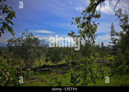 Merapi Vulkan durch Bäume von Borobudur-Tempel, Dieng Straße, Java, Pazifik, Indonesien, Südostasien, Südasien. Stockfoto