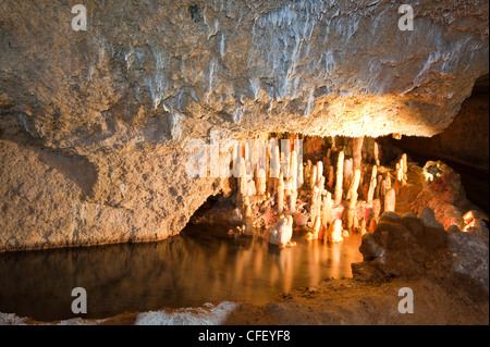 Harrisons Cave, Barbados, Windward Islands, West Indies, Karibik, Mittelamerika Stockfoto