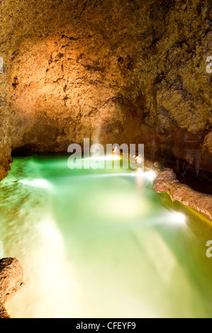 Harrisons Cave, Barbados, Windward Islands, West Indies, Karibik, Mittelamerika Stockfoto