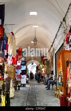 Gasse in der Medina, Tunis, Tunesien, Nordafrika, Afrika bedeckt Stockfoto