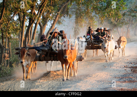 Ochsenkarren auf einer staubigen Straße, Myanmar, Asien Stockfoto