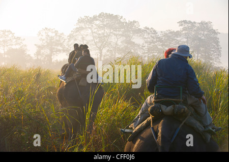 Touristen auf Elefanten, Kaziranga Nationalpark UNESCO World Heritage Site, Assam, Nordost-Indien, Indien, Asien Stockfoto