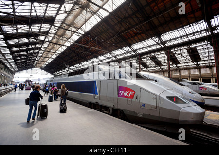 Passagiere und TGV-Hochgeschwindigkeits-Zug, Gare de Lyon, Paris, Frankreich Stockfoto