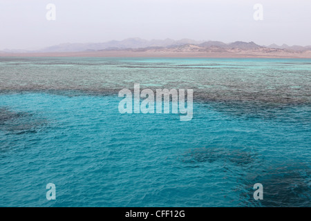 Klare rote Meer Wasser, Ras Mohammed National Park, Sinai South, Ägypten, Nordafrika, Afrika Stockfoto