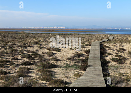 Ein Holzsteg führt über Dünen der Ilha Deserta (Barreta), eine Insel in der Ria Formosa Nationalparks, Algarve, Portugal, Europa Stockfoto