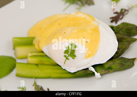 Vorspeise - Spiegeleiern auf einem Bett aus Spargel drapiert in Sauce Hollandaise mit gehobeltem Parmesan, Großbritannien Stockfoto