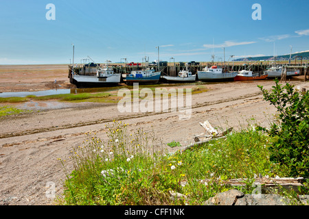 Angelboote/Fischerboote gefesselt Wharf bei Ebbe, Advocate Harbour Bay Of Fundy, Nova Scotia, Kanada Stockfoto