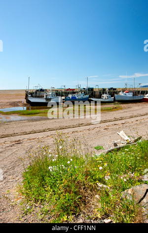 Angelboote/Fischerboote gefesselt Wharf bei Ebbe, Advocate Harbour Bay Of Fundy, Nova Scotia, Kanada Stockfoto