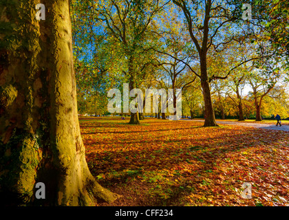 Hyde Park im Herbst, London, England, Vereinigtes Königreich, Europa Stockfoto