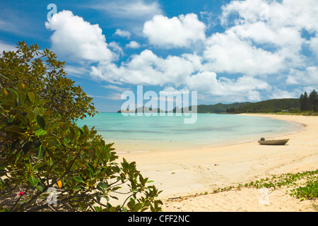 Blick nach Norden der 10km lange alte Vulkaninsel in der Tasmansee, Lord-Howe-Insel, New-South.Wales, Australien Stockfoto