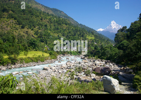 Modi Flusstal mit Blick auf anzeigen (Fischschwanz), Trekking von Ghandruk Nayapul, Annapurna Sanctuary Region, Nepal Stockfoto