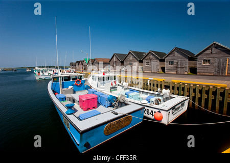 Angelboote/Fischerboote am Kai, Red Point, Prince Edward Island, Kanada gefesselt Stockfoto