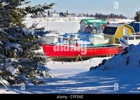 Angelboote/Fischerboote oben geschleppt, für den Winter, French River, Prince Edward Island, Canada Stockfoto