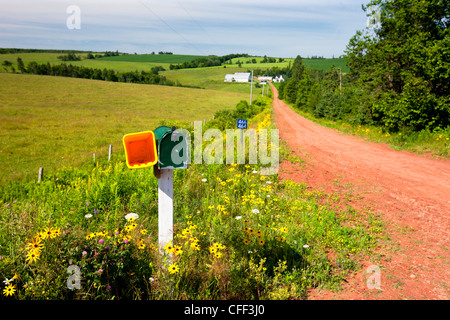 Postfach und Bauernhof Lane, Pleasant Valley, Prince Edward Island, Canada Stockfoto