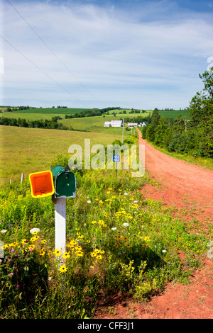 Postfach und Bauernhof Lane, Pleasant Valley, Prince Edward Island, Canada Stockfoto