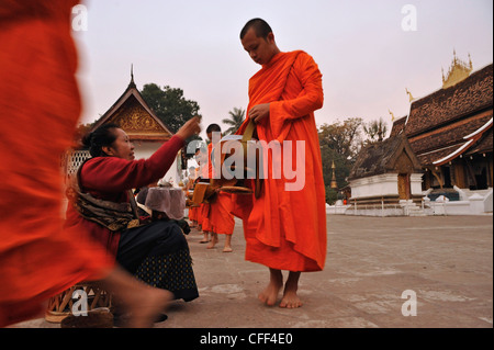 Mönchen Almosen vor Sonnenaufgang, Luang Prabang, Laos Stockfoto