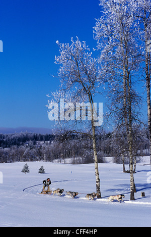 Wintercamping in der Cariboo Region von British Columbia, Kanada. Stockfoto