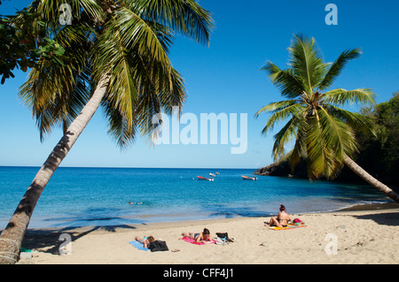 Strand von Anse Dufour, Martinique, Französisch-Westindien, Mittelamerika, Karibik Stockfoto