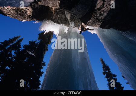 Bergsteiger auf das Huhn zu jagen, ein Eis klettern am Blackcomb Mountain, British Columbia, Kanada. Stockfoto