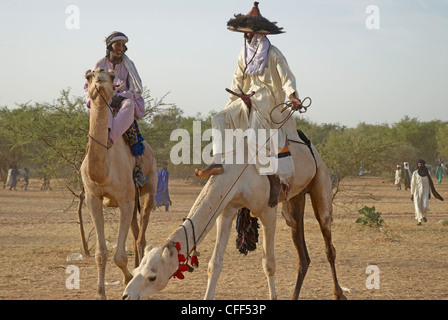 Wodaabe (Bororo Männer), Gerewol, allgemeine Wiedervereinigung von Westafrika für die Wodaabe Peuls (Bororo Peul), Niger, Westafrika, Afrika Stockfoto