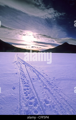 Die Eisfläche des Isaac See bei Sonnenuntergang; Backcountry Skifahrer und Hundeschlitten Strecken führen auf den Horizont im Winter, Bowron Stockfoto