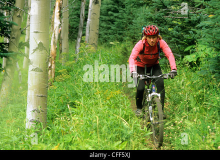 Mountainbiker Fahrten Gun Creek Trail von Spruce Lake, südlichen Chilcotin Mountains, British Columbia, Kanada. Stockfoto