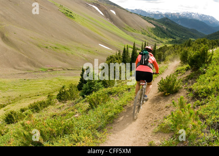 Mountainbiker fährt nach unten vom Windy Pass, südlichen Chilcotin Mountains, British Columbia, Kanada. Stockfoto