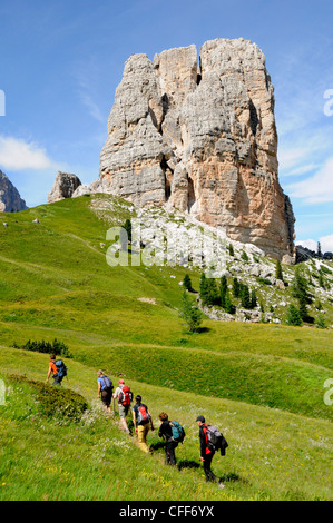 Eine Gruppe von Wanderern auf einer Wiese in den Bergen, Dolomiti Ampezzane, Alto Adige, Südtirol, Italien, Europa Stockfoto