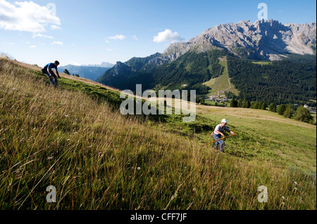 Menschen bei Heu ernten, Eggental, Alto Adige, Südtirol, Italien, Europa Stockfoto