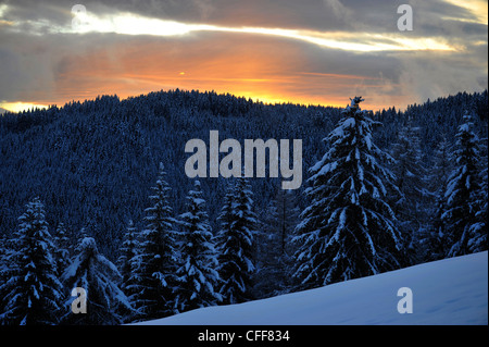 Winterlandschaft bei Sonnenuntergang, Welschnofen, Südtirol, Alto Adige, Italien, Europa Stockfoto